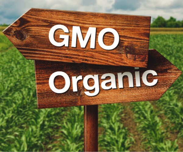 Senate Blocks Bill To Override GMO Labeling Laws