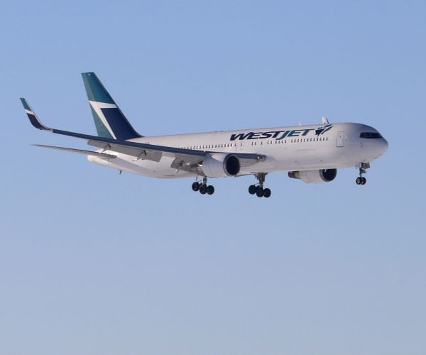 Dog Put on Wrong WestJet Flight Escapes, Is Later Found Safe