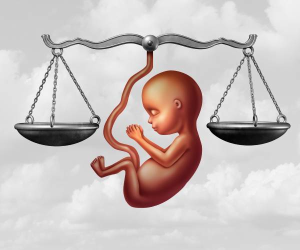 scales of justice with a human embryo in the center