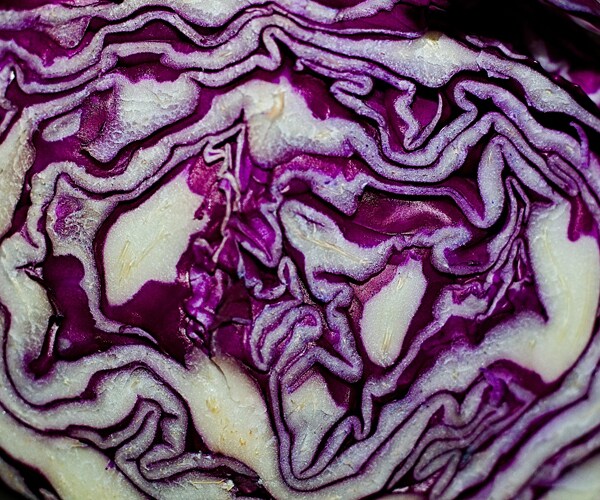 red cabbage