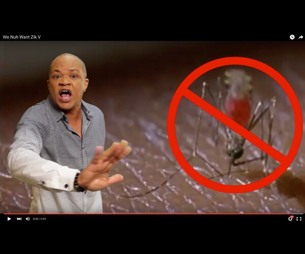 Jamaica's Zika Virus Reggae PSA Warns 'We Nuh Want' Mosquito-Borne Illness