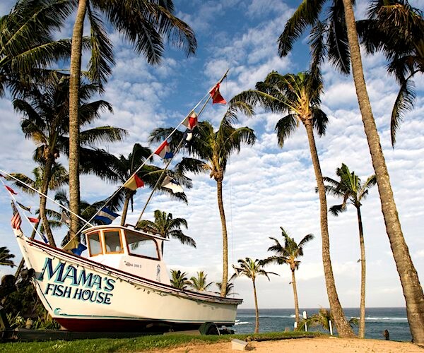 a beach front in maui, hawaii