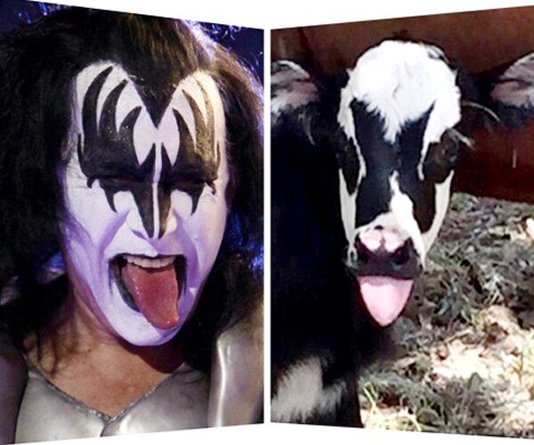 Gene Simmons' Cowardly Kiss Face Graces Texas Town