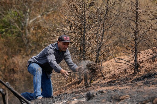 Brazil Drought Punishes Coffee Farms and Threatens to Push Prices Even Higher