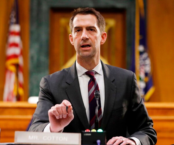 senator tom cotton