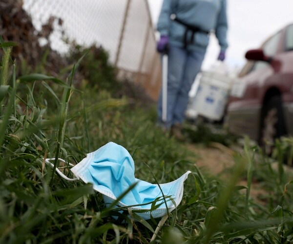 discarded surgical mask in grass