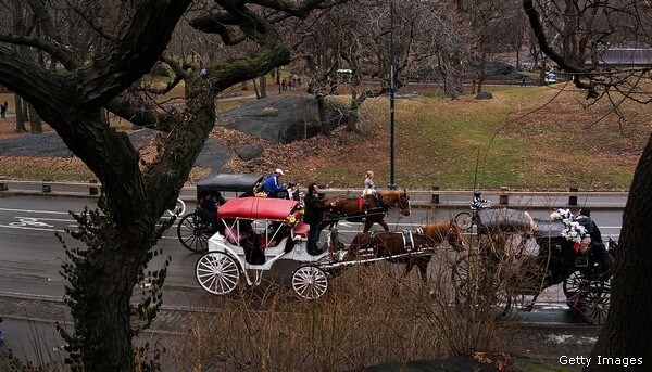 De Blasio: 'It's Over' for NYC's Horse-Drawn Carriages