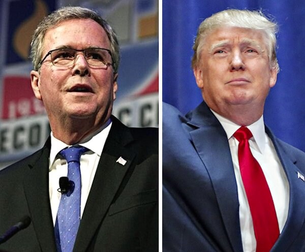 Jeb Likely GOP Nominee, But Trump Is a Contender: The Hill