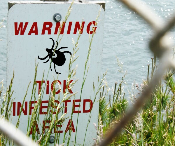 Lyme Disease Hitting Record Levels, Making Prevention a Summer Priority