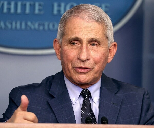 anthony fauci speaks at press conference