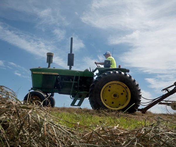 FTC Probes Deere for Customers' 'Right to Repair' Equipment