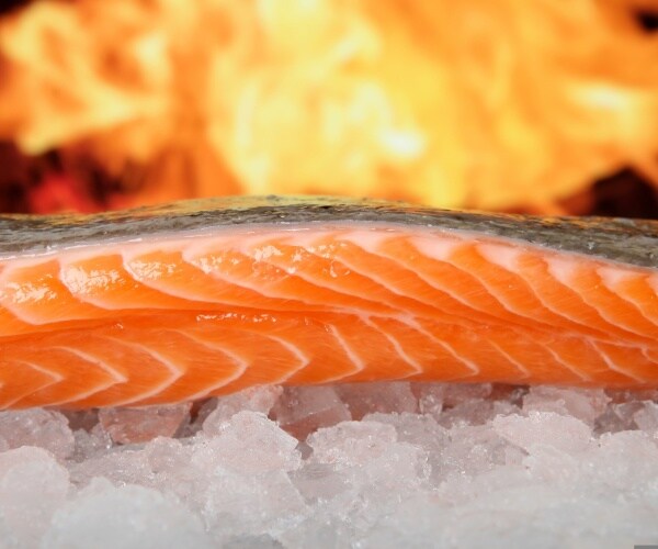 piece of salmon on ice