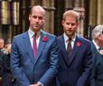 William and Harry Reunite for Diana Statue Tribute