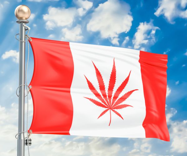 canadian flag with marijuana leaf against a blue sky
