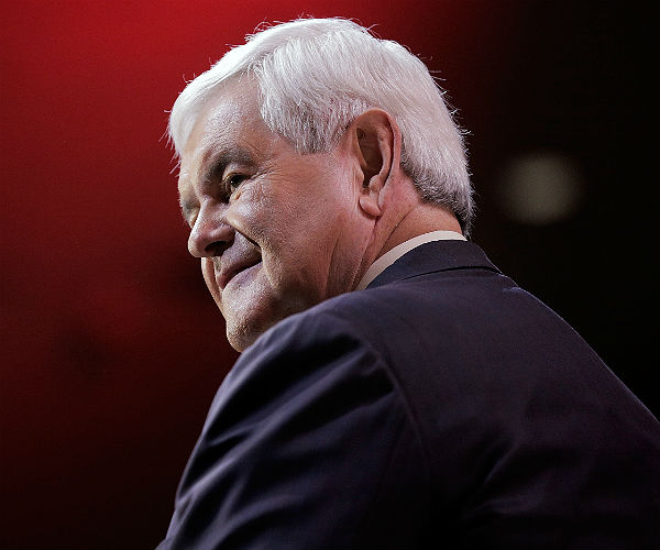 Newt: GOP Can Win in November With 'Commonsense' Legislative Action