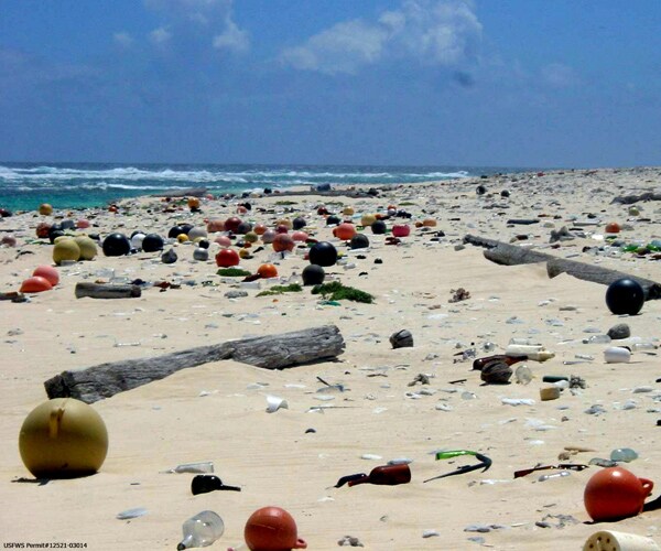 Henderson Island Plastic Debris Denser Than Anywhere in World