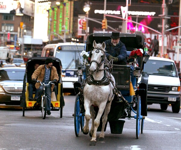 NYC Horse Carriages Deal Would Reduce, but Not Eliminate, Number of Animals