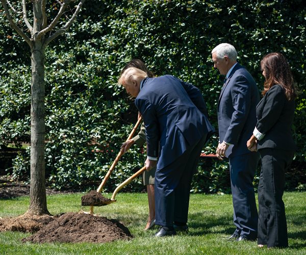 Trump Plans to Reopen National Parks