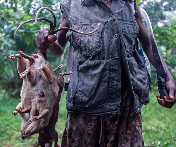 a woman holds dead rats to sell for food