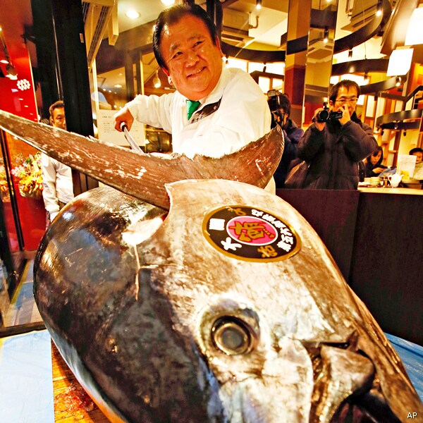 Bluefin Tuna Prices Plummet; Sushi Favorite Is Threatened