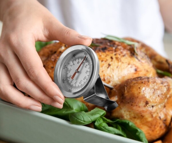 a large chicken in pan with meat thermometer 