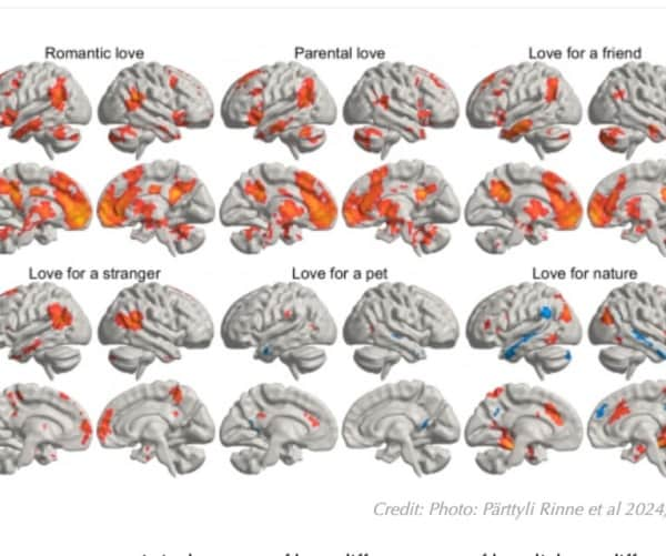 images highlighting areas of brain activated for different types of love