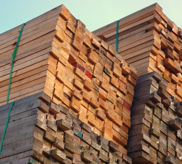 Trump expects 25% tariffs on imported timber from April