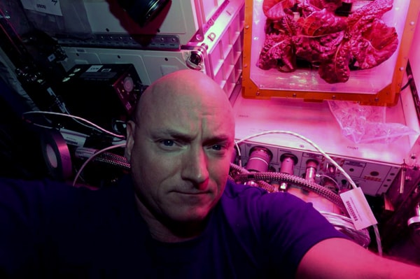 ISS Salad? Space-Grown Lettuce Is 'Awesome,' Astronauts Say