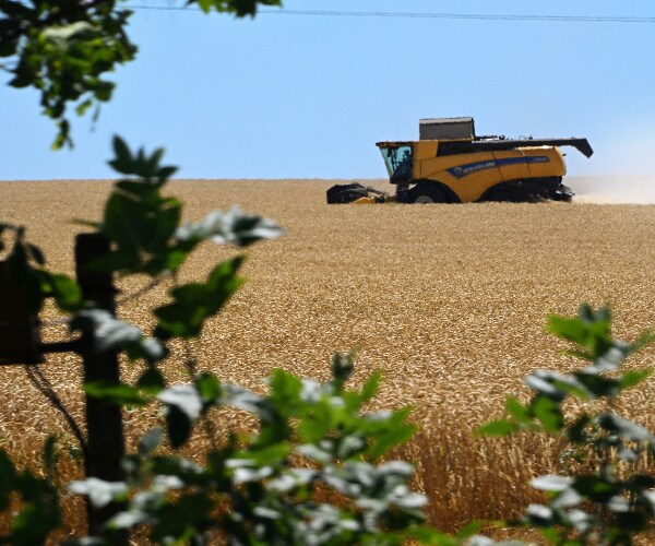 Airstrikes Kill More Ukrainians Despite Grain Export Deal