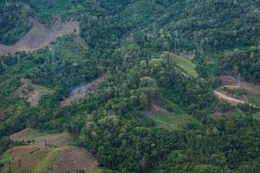 South Korea to Shrink Biomass Energy Subsidies after Criticism over Link to Deforestation