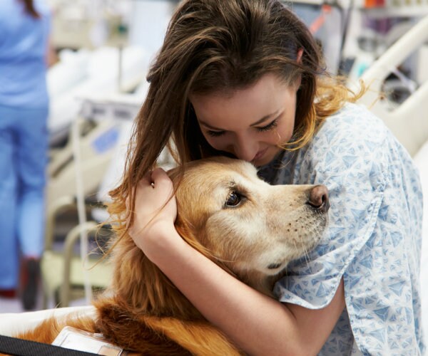 4-Legged 'Animal Therapy' Healers Help Hospital Patients Cope