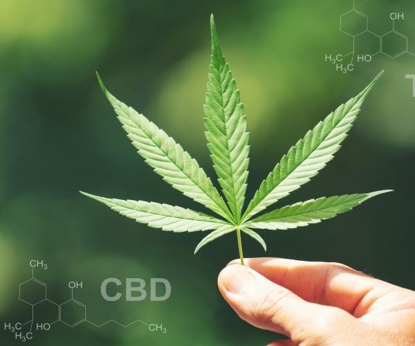 FDA May Regulate CBD in Food, Supplements