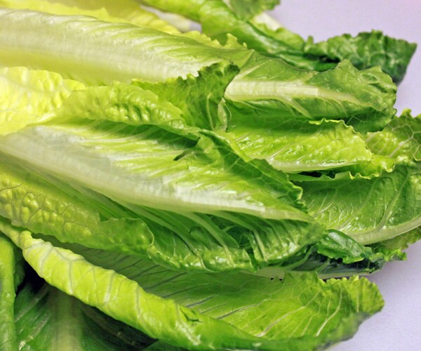 Avoid Romaine Lettuce to Avoid E. Coli, Consumer Reports Suggests