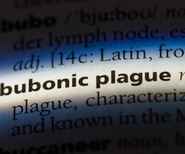 bubonic plague entry in dictionary