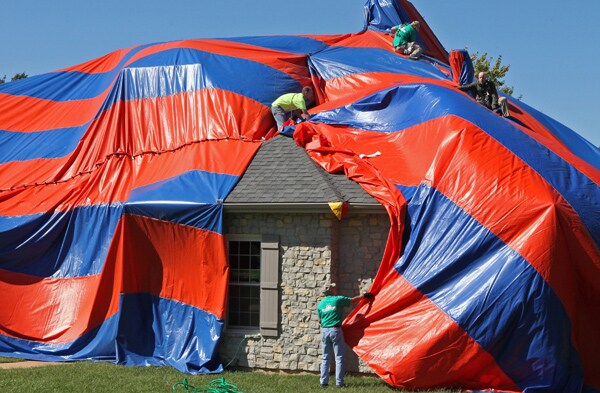 Spiders Force Family From Home: Brown Recluse Arachnids 'Bled' From Walls