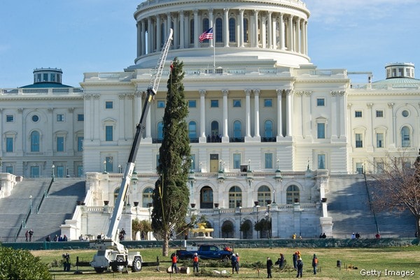 National Christmas Tree Arrives in D.C. From Washington State