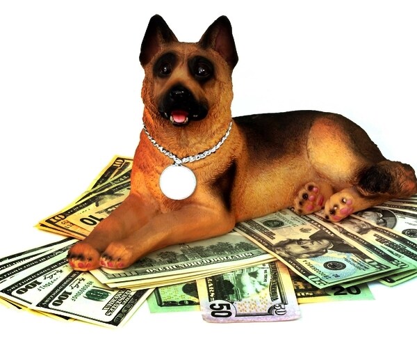  reliable security guard of your money 