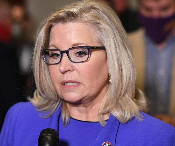 liz cheney talks to press