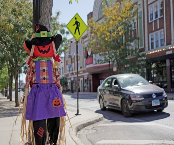 a Halloween scarecrow on a tree next to a busy street