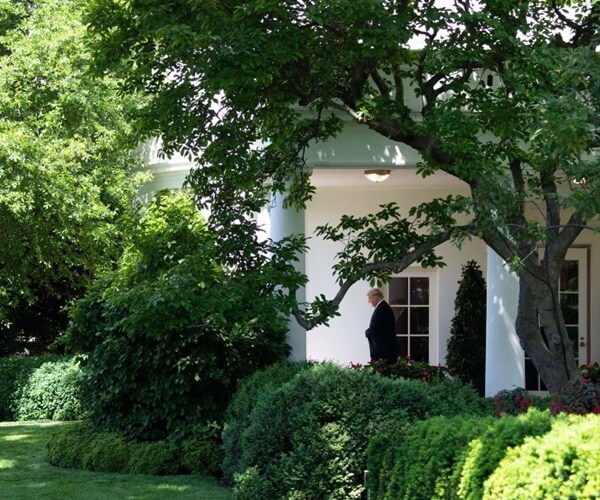 president trump walks outside by the oval office 