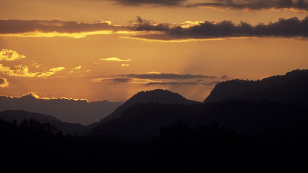 Honduras' Two Lost Cities May Be Distinct From the Mayans