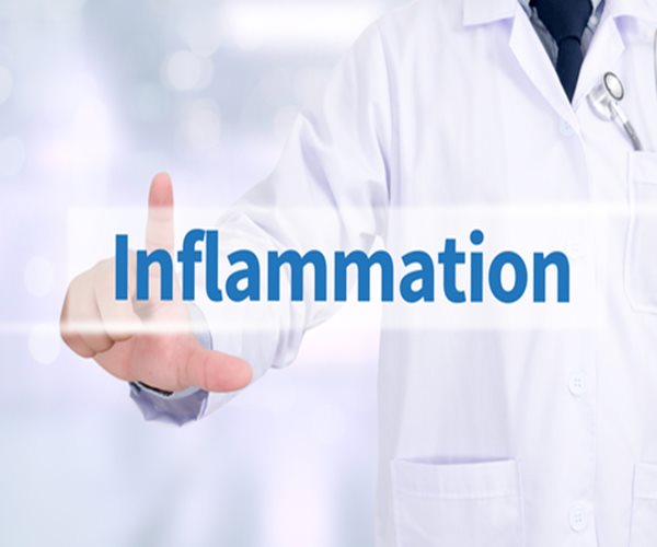 8 Foods That Fight Inflammation