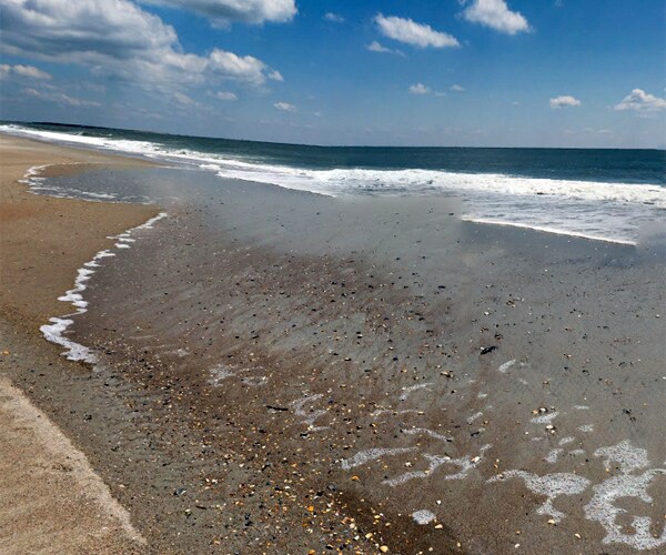 Shark Bites Boy: Atlantic Beach Surfer, 11, Grabbed by Foot