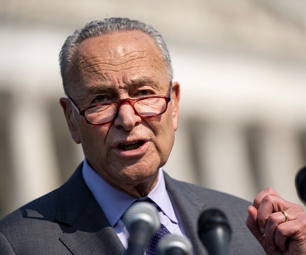 chuck schumer speaks to press outside capitol