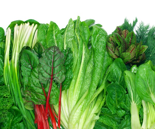 E Coli Outbreak Spreads to 15 States; Leafy Greens Suspected