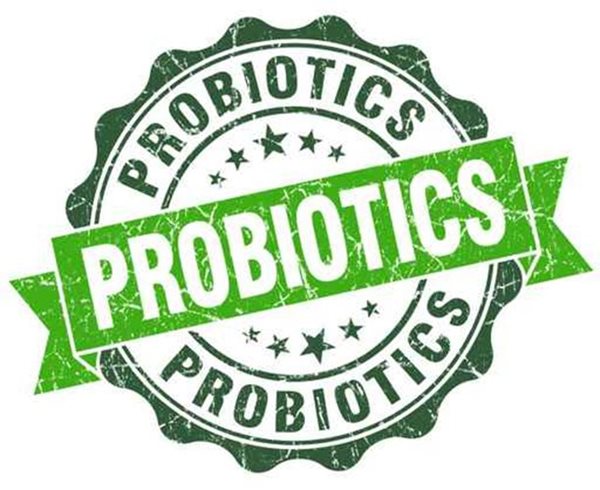 Can Probiotics Protect Against STDs?