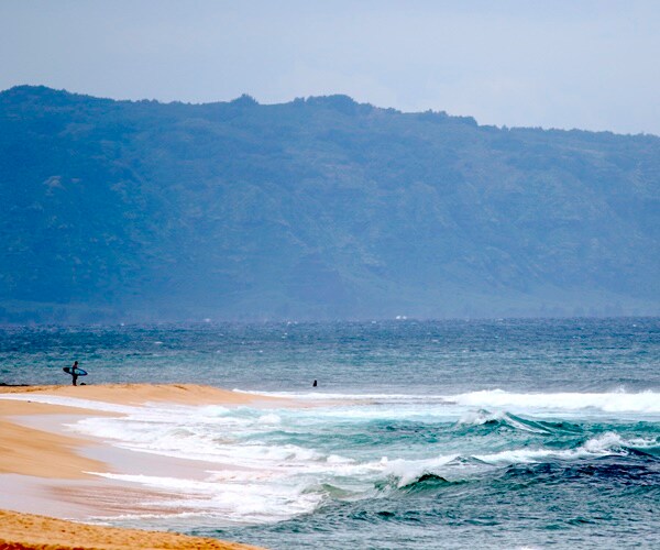 a beach in oahu