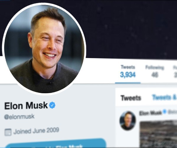 elon musks twitter page