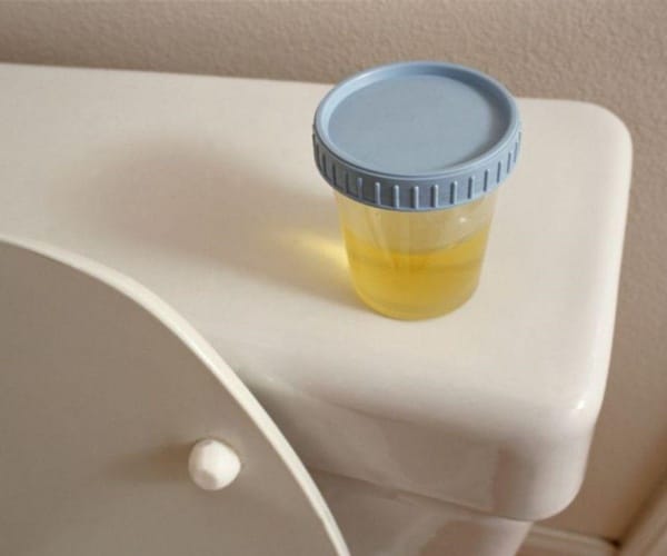 urine sample on back of toilet