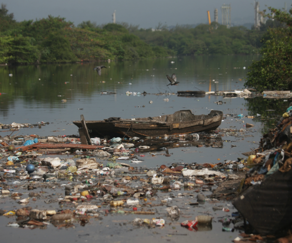 Rio Olympics Water Is 'Basically Raw Sewage,' Finds AP Investigation